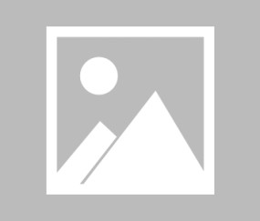 【瑞典超】布洛马波卡纳vs天狼星伤病名单最新(2025年08月17日)